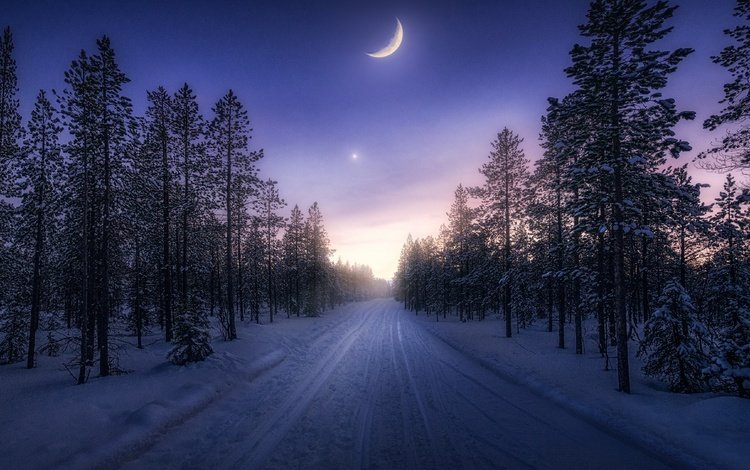 дорога, зима, луна, road, winter, the moon