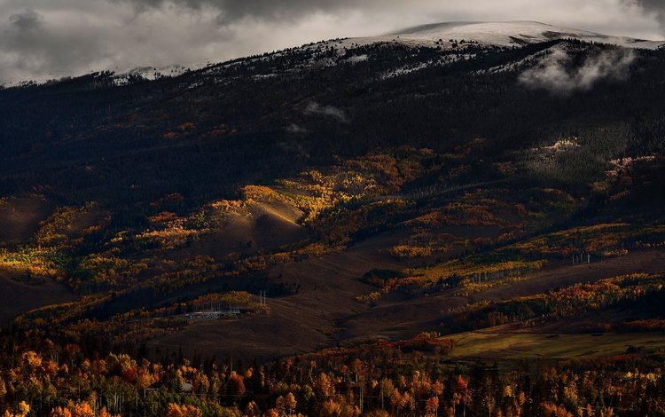 горы, лес, осень, темный фон, mountains, forest, autumn, the dark background