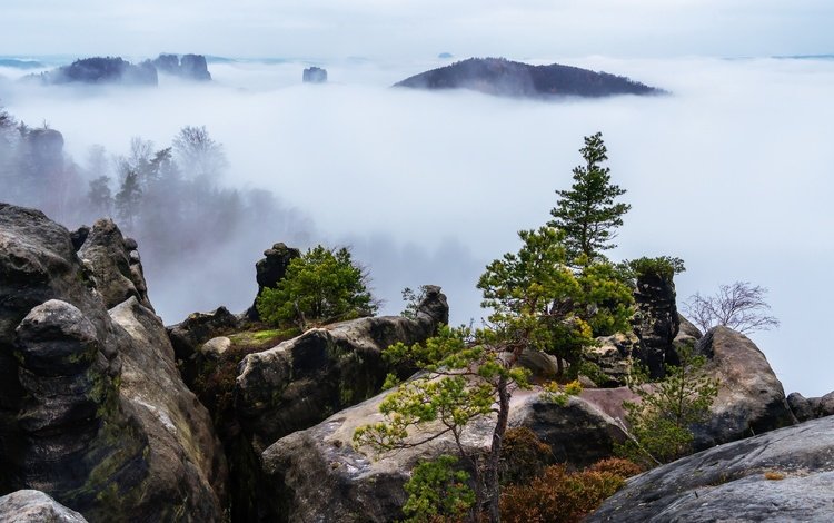 горы, природа, туман, mountains, nature, fog