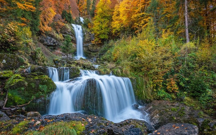 лес, скала, водопад, осень, швейцария, каскад, forest, rock, waterfall, autumn, switzerland, cascade