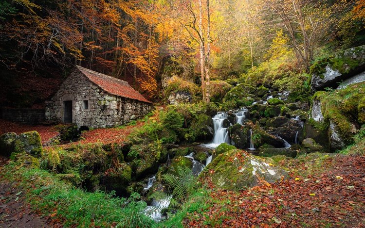 лес, склон, водопад, осень, домик, forest, slope, waterfall, autumn, house