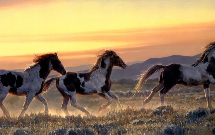небо, nancy glazier, арт, горы, поле, рассвет, лошади, кони, бег, the sky, art, mountains, field, dawn, horse, horses, running