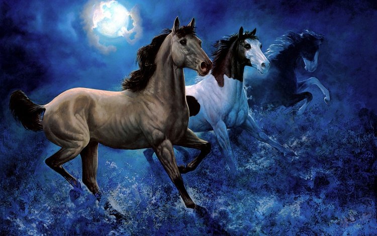 небо, арт, ночь, луна, лошади, кони, бег, the sky, art, night, the moon, horse, horses, running