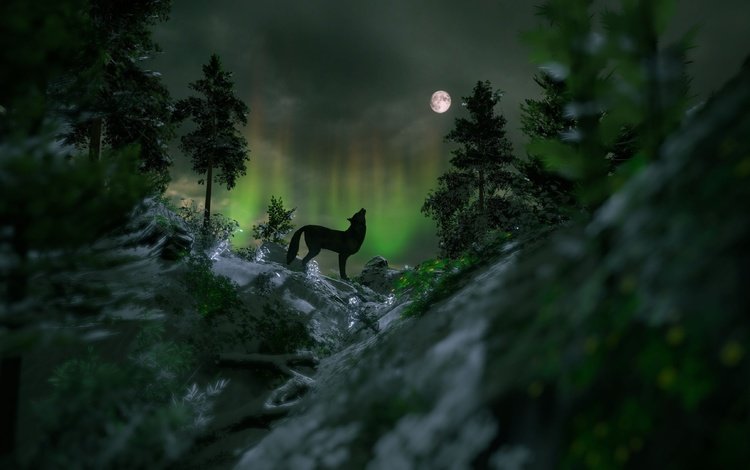 ночь, волк, камни, лес, луна, северное сияние, рендеринг, силуэт, ели, night, wolf, stones, forest, the moon, northern lights, rendering, silhouette, ate