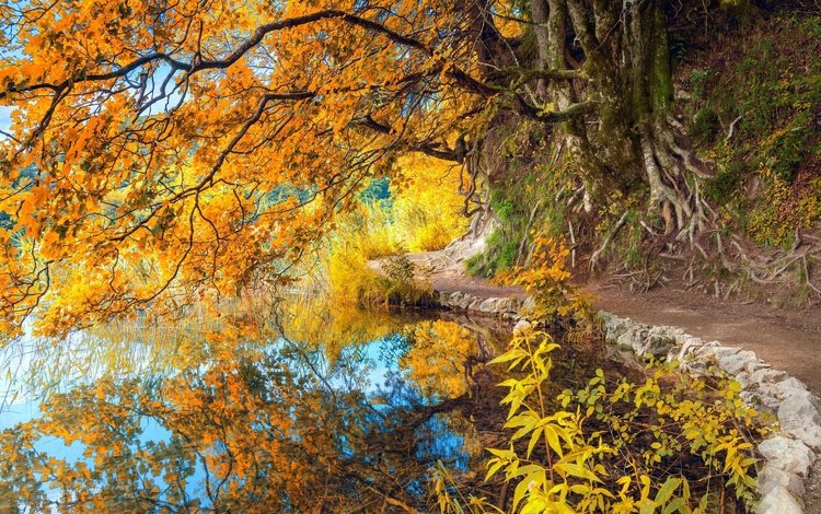 отражение, парк, осень, пруд, reflection, park, autumn, pond