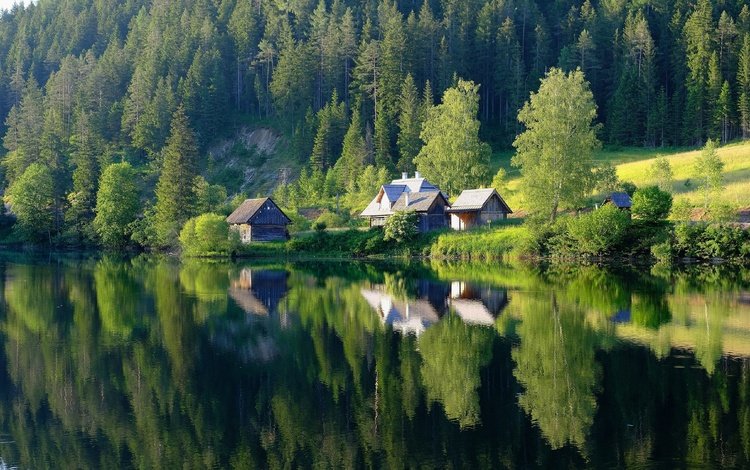 озеро, лес, отражение, домики, водоем, дома, lake, forest, reflection, houses, pond, home