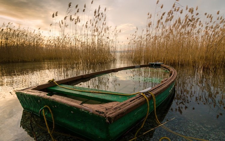 озеро, лодка, камыш, lake, boat, reed