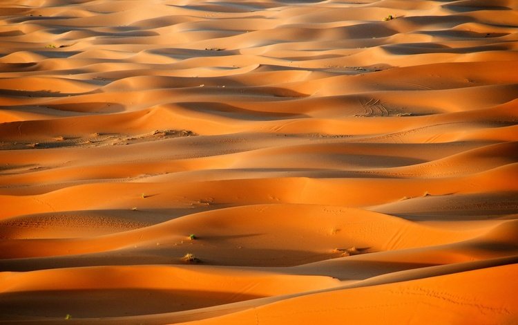 песок, пустыня, бархан, sand, desert, barkhan