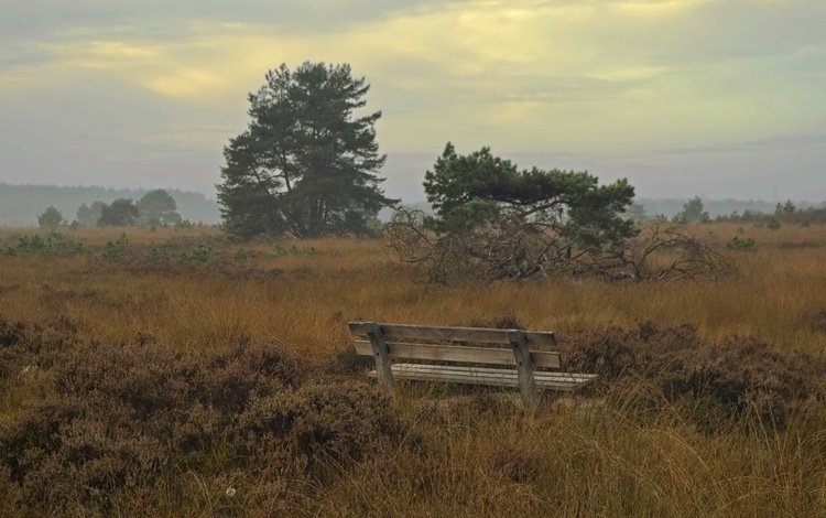 поле, осень, скамья, field, autumn, bench