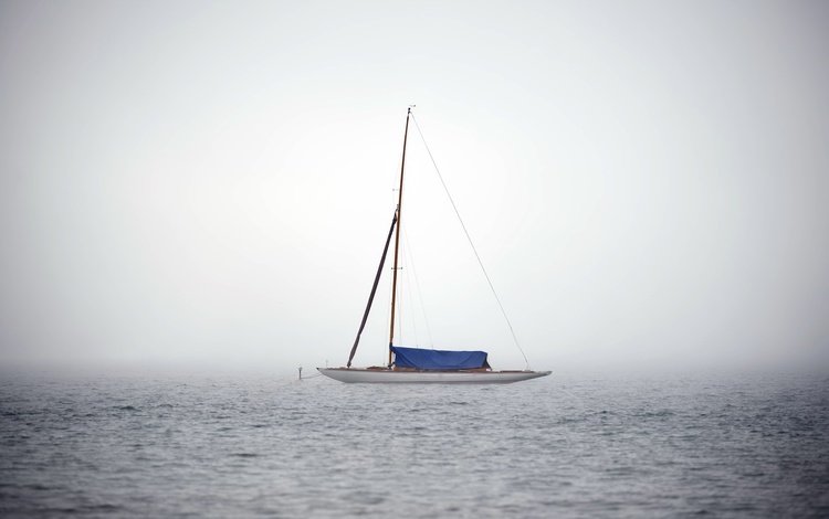 природа, море, туман, яхта, nature, sea, fog, yacht