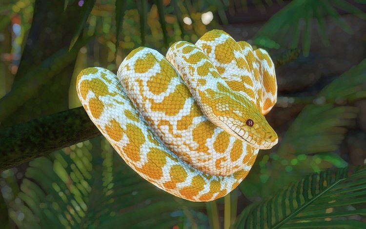 природа, желтый, рендеринг, змея, питон, боке, nature, yellow, rendering, snake, python, bokeh