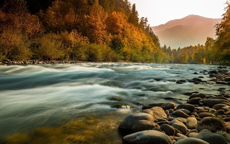 река, природа, камни, лес, пейзаж, туман, осень, берега, river, nature, stones, forest, landscape, fog, autumn, bank