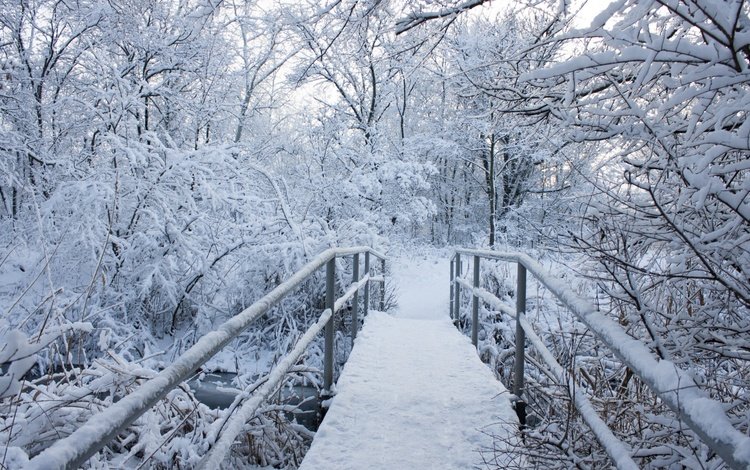 река, снег, зима, пейзаж, мороз, мост, river, snow, winter, landscape, frost, bridge