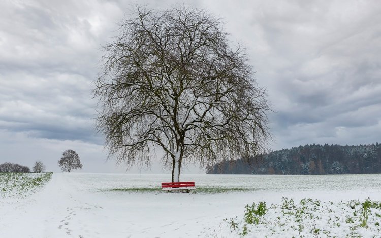 снег, дерево, зима, поле, скамья, snow, tree, winter, field, bench