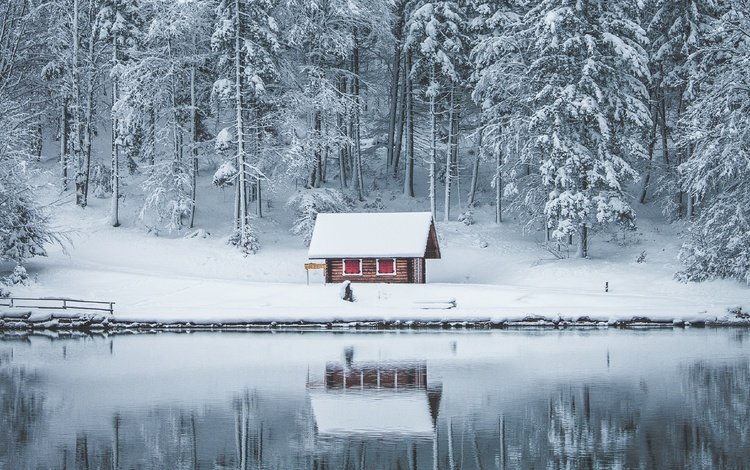 снег, лес, зима, отражение, водоем, домик, snow, forest, winter, reflection, pond, house
