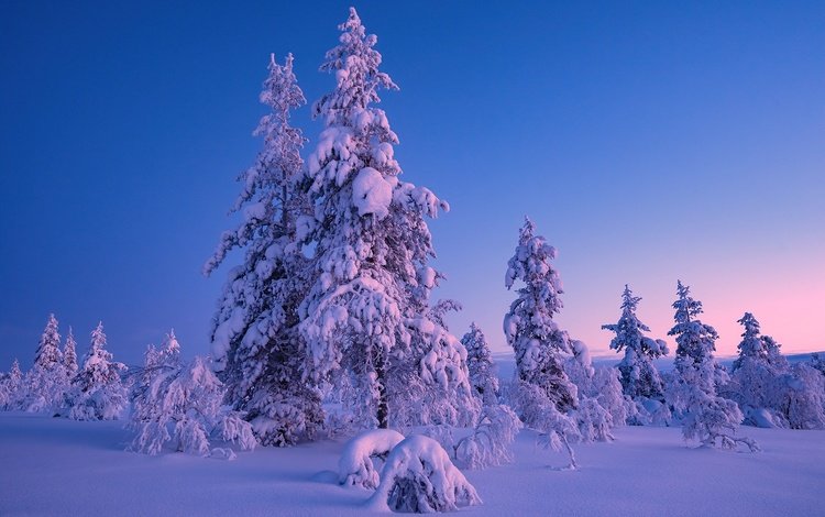 снег, природа, snow, nature