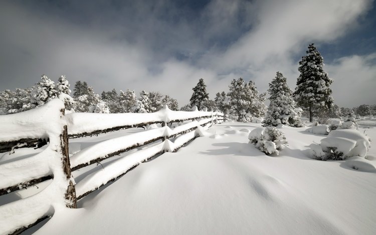 снег, зима, забор, snow, winter, the fence