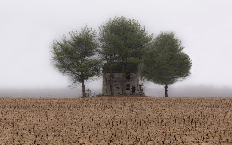туман, поле, дом, fog, field, house