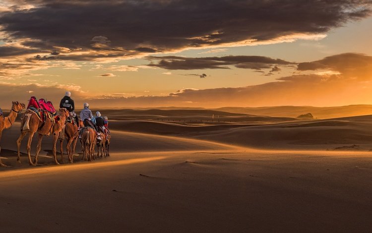 закат, песок, панорама, австралия, дюны, караван, верблюды, новый южный уэльс, sunset, sand, panorama, australia, dunes, caravan, camels, new south wales