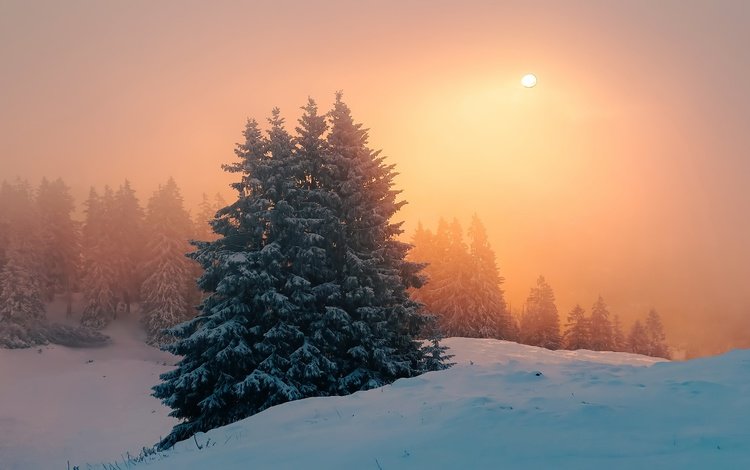 закат, зима, туман, sunset, winter, fog