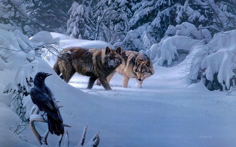 зима, птица, ворон, волки, daniel smith, winter, bird, raven, wolves