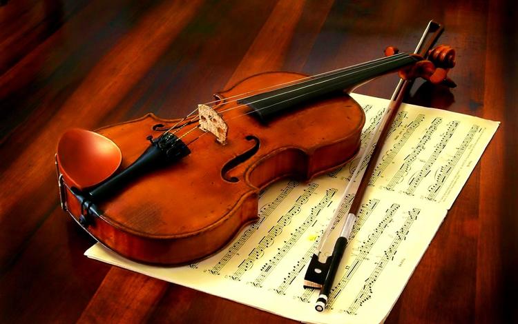 скрипка, violin