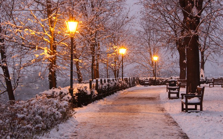вечер, зима, парк, the evening, winter, park