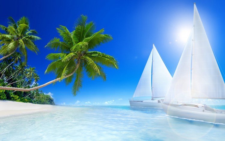 пальмы, океан, тропический остров, palm trees, the ocean