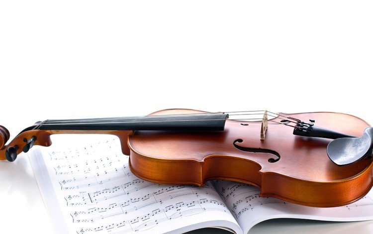 скрипка, violin