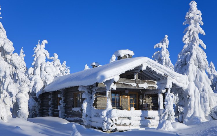 зима, дом, зимний лес, winter, house, winter forest