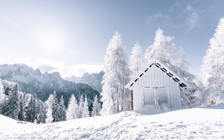 снег, зима, зимний лес, snow, winter, winter forest