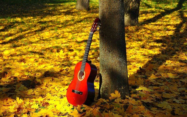 природа, листья, гитара, листва, осень, струны, nature, leaves, guitar, foliage, autumn, strings