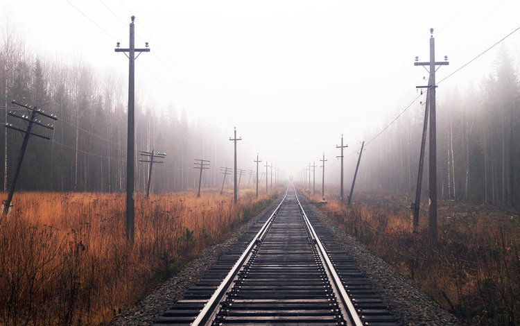 железная дорога, лес, осень, railroad, forest, autumn