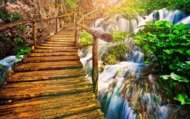 мост, водопад, перила, растительность, деревянный мост, bridge, waterfall, railings, vegetation, wooden bridge