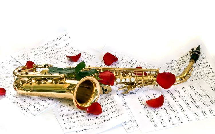 ноты, белый фон, саксофон, музыкальный инструмент, лепестки розы, notes, white background, saxophone, musical instrument
