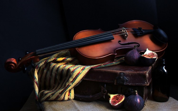 скрипка, струны, инструмент, чемодан, натюрморт, музыкальный инструмент, инжир, violin, strings, tool, suitcase, still life, musical instrument, figs
