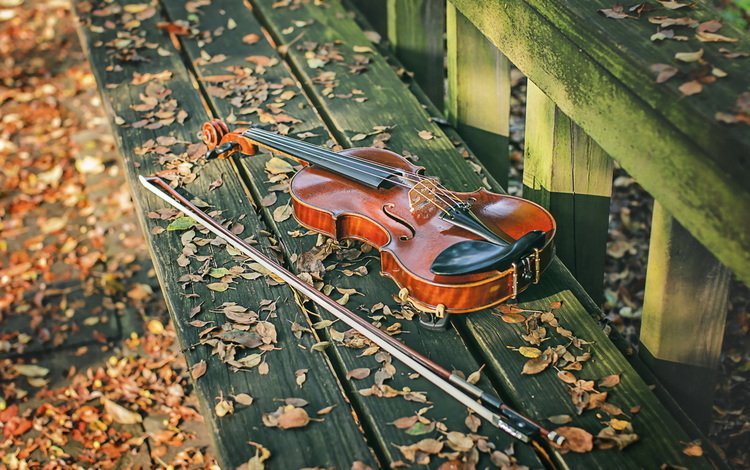листья, скрипка, осень, лежит, скамейка, музыкальный инструмент, смычок, leaves, violin, autumn, lies, bench, musical instrument, bow