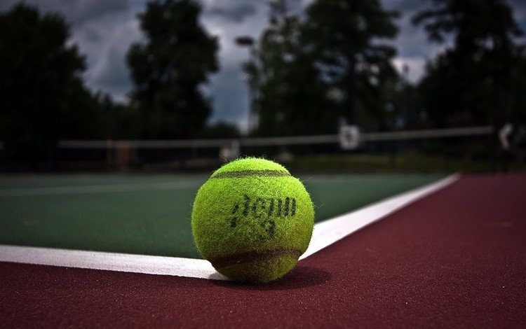 мяч, теннис, корт, the ball, tennis, court