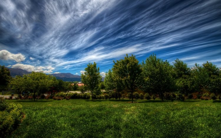небо, трава, облака, деревья, природа, зелень, пейзаж, the sky, grass, clouds, trees, nature, greens, landscape