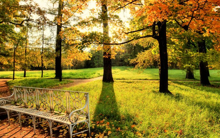 деревья, парк, осень, скамейка, солнечные лучи, trees, park, autumn, bench, the sun's rays