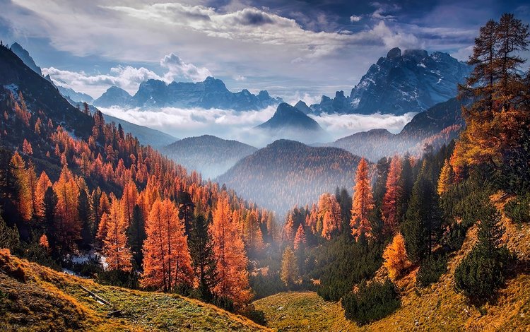 небо, облака, деревья, горы, скалы, природа, лес, осень, the sky, clouds, trees, mountains, rocks, nature, forest, autumn