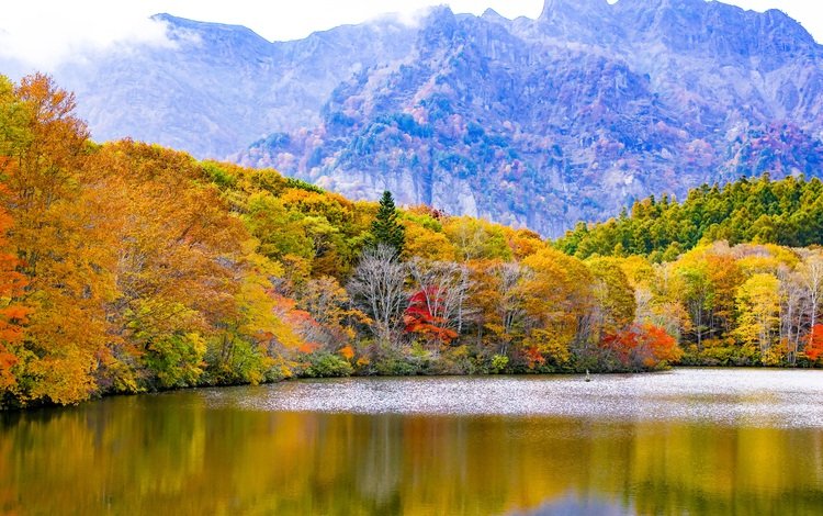 деревья, озеро, горы, природа, отражение, осень, trees, lake, mountains, nature, reflection, autumn