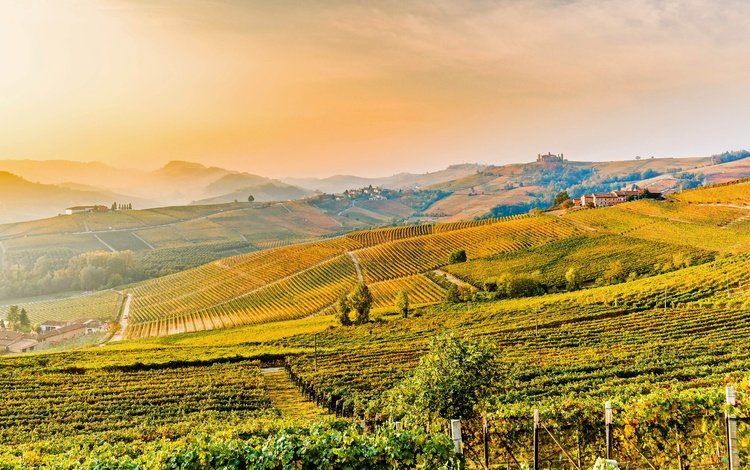 холмы, италия, виноградники, пьемонт, hills, italy, the vineyards, piedmont
