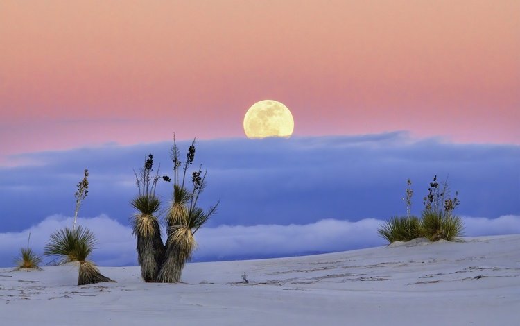 пустыня, луна, сша, нью-мексико, white sands national monume, desert, the moon, usa, new mexico