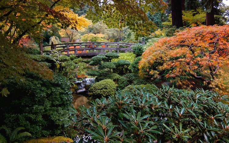 природа, ручей, кусты, мост, сад, сша, японский сад, portland japanese garden, nature, stream, the bushes, bridge, garden, usa, japanese garden