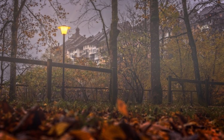 деревья, туман, осень, швейцария, дома, фонарь, здания, опавшие листья, trees, fog, autumn, switzerland, home, lantern, building, fallen leaves
