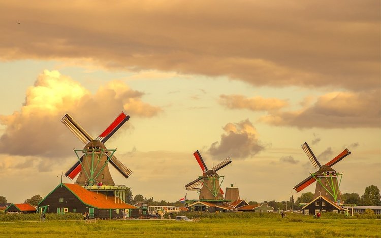 нидерланды, ветряные мельницы, netherlands, windmills