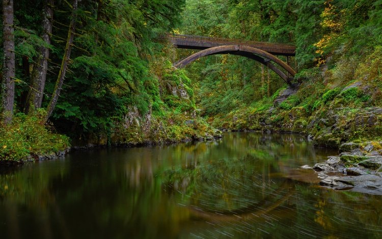 природа, мост, nature, bridge
