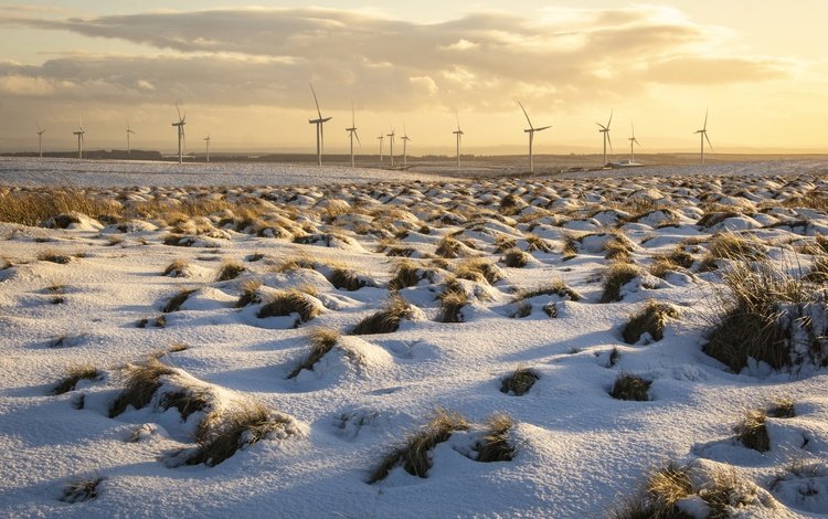 снег, поле, ветряки, snow, field, windmills
