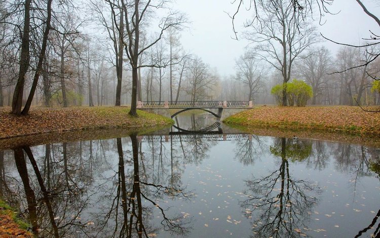 отражение, мост, осень, речка, царское село, reflection, bridge, autumn, river, tsarskoye selo